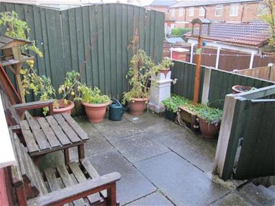 Picture 11